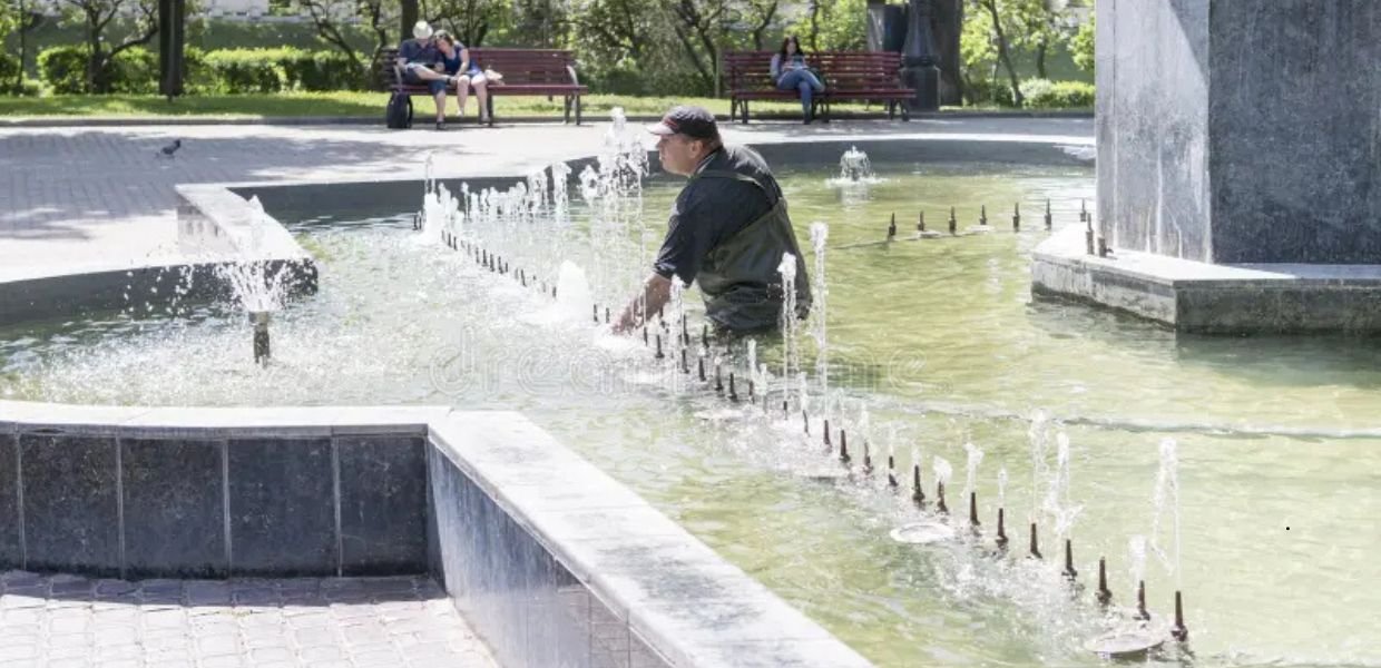 Professional Carpet Shampooing
